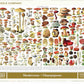 New York Puzzle Company 1000-Piece Jigsaw Puzzle - Vintage Mushrooms by Adolphe Philip Millot, Cardstock
