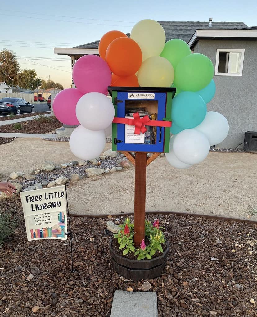 Little Free Library Kit, Made In America By The Nonprofit That Expands Book Access