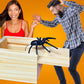 Jishi Spider Prank Box Halloween Gag Gifts, Funny Wooden Surprise Gift Box For Money Cash, Halloween Spider Prank Toys For Kids