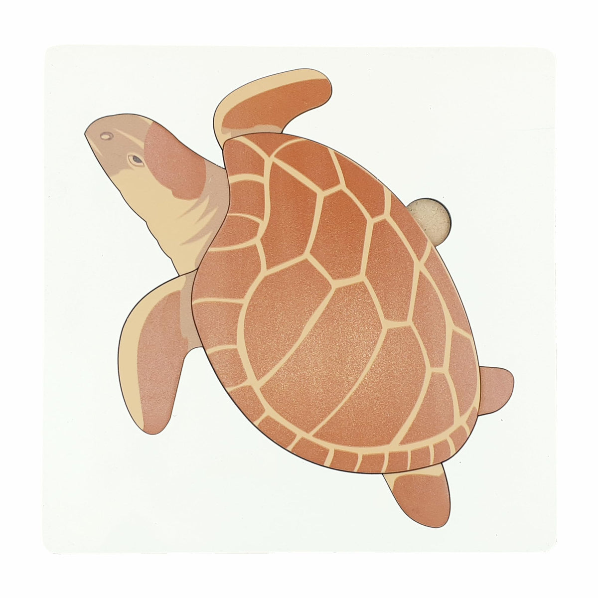 Tantrums Montessori Zoology & Botany Puzzle Tortoise Set | Education Puzzle Learning Aid for Kids