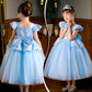 G.C Cinderella Dress Costume For Girls Toddlers Light Up Princess Dress With Crown Wand Earrings Necklace Gloves Toy Accessories