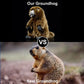 Zhongxin Made Simulation Groundhog Plush Toy - Cute Real Life Greedy Groundhog Simulation Plush Toys, Lifelike Wild Animals Prai