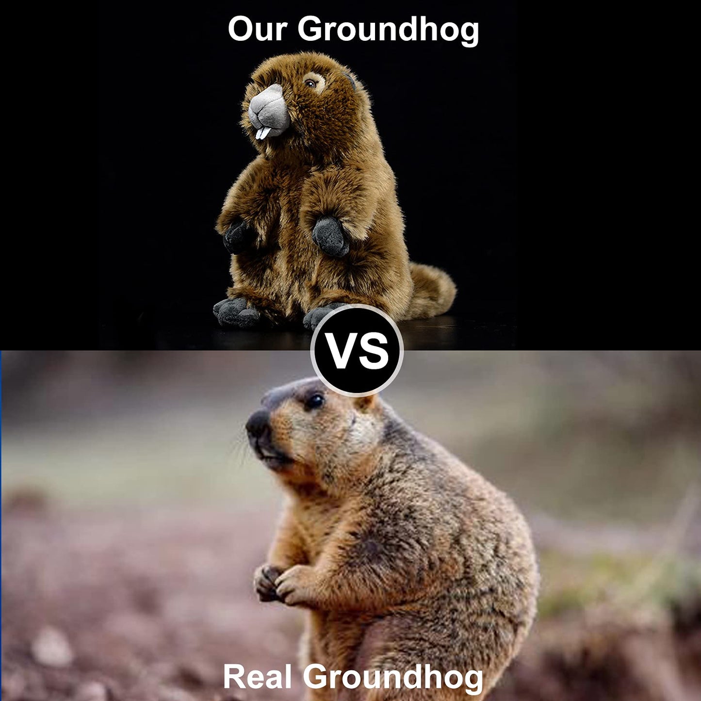 Zhongxin Made Simulation Groundhog Plush Toy - Cute Real Life Greedy Groundhog Simulation Plush Toys, Lifelike Wild Animals Prai