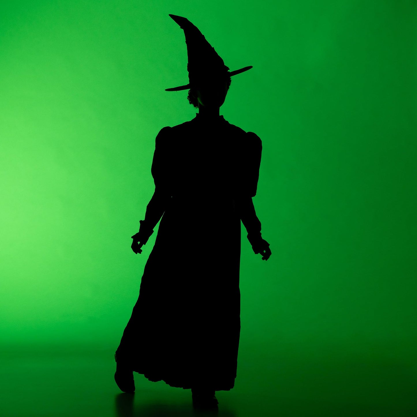 Wicked Elphaba Costume For Girls, Deluxe Official Wicked Elphaba Costume Cape And Hat, Kids Size (4-6X)