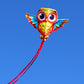 Hengda Kite Owl Kite For Kids Beginners And Adults Cute Big Eyes Design High Definition Printing Easy To Carry And Assemble Suit
