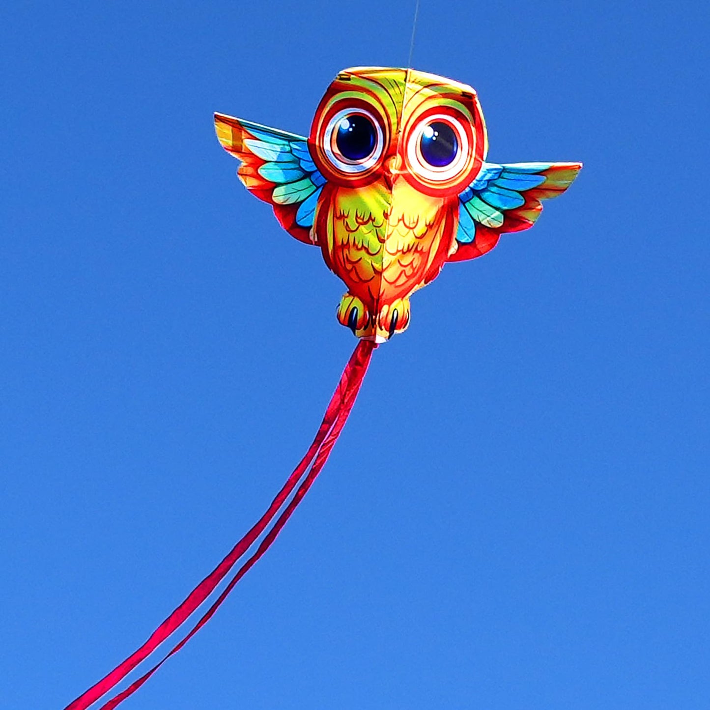 Hengda Kite Owl Kite For Kids Beginners And Adults Cute Big Eyes Design High Definition Printing Easy To Carry And Assemble Suit