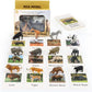 12 Preschool Science Toys - Educational Materials With Animal Matching Models Flash Cards, Animal Figurines For Kids (Zoo)