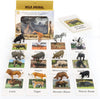 12 Preschool Science Toys - Educational Materials With Animal Matching Models Flash Cards, Animal Figurines For Kids (Zoo)