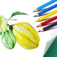 Skkstationery 50Pcs Colored Pencils,50 Vibrant Colors, Drawing Pencils For Sketch, Arts, Coloring Books, Christmas Halloween Gifts