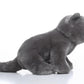 TAMMYFLYFLY Lifelike British Shorthair Cat Plush Stuffed Animal Toy British Shorthair Cat Animal Model 32cm