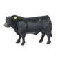 Big Country Toys Angus Bull Figurine – Hand-Painted 1:20 Scale Farm Animal Collectible