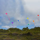 In The Breeze Green Diamond Kite, 30-Inch