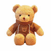 11.8 Inches Teddy Bear Stuffed Animals Soft Plush Cute Teddy Bear With Hoodie Doll For Boys Girls (Brown)