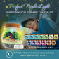 Dinosaur Light Up Terrarium Kit For Kids I Dinosaur Toys Craft Kits For Kids I Night Light For Kids Crystal Growing Kit I Terrarium Jar For Kids I Birthday Gifts For Girls Age 5-12