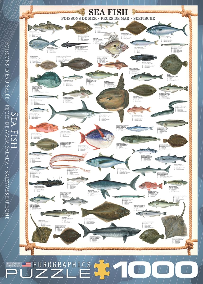 Eurographics Sea Fish 1000 Piece Puzzle (6000-0313)