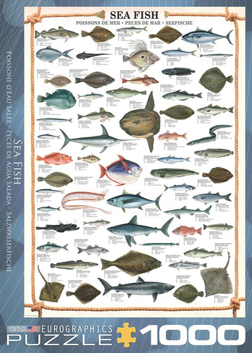 Eurographics Sea Fish 1000 Piece Puzzle (6000-0313)