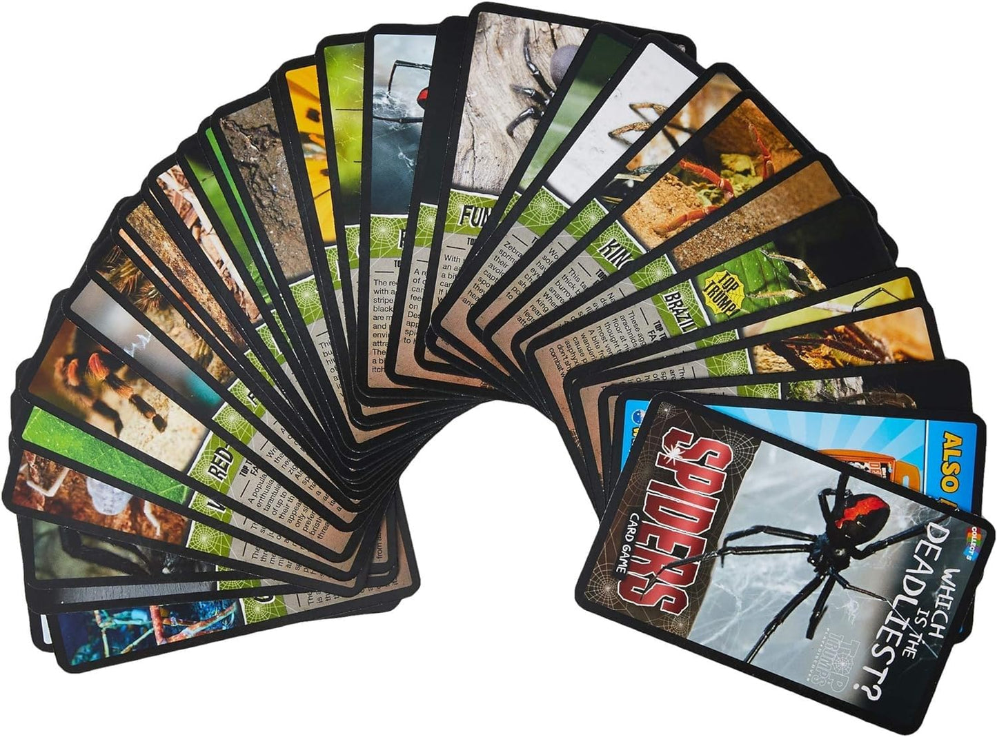 Top Trumps Spiders Card Game - Educational Fun for Ages 6+, Multicolor, Plastic, Model WM01602-EN1-6