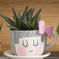 Fun Express DIY Teacup Planter with Saucer - Makes 6 - Ceramic Crafts and Kids Do it Yourself Projects