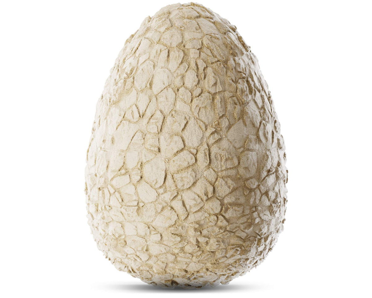 Giant Dino Egg STEM Set