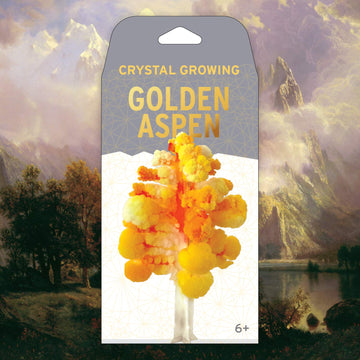 Crystal Growing Aspen Tree | Copernicus Toys Official Terraformer Kit | Grows In Hours | Facts And Instructions Included
