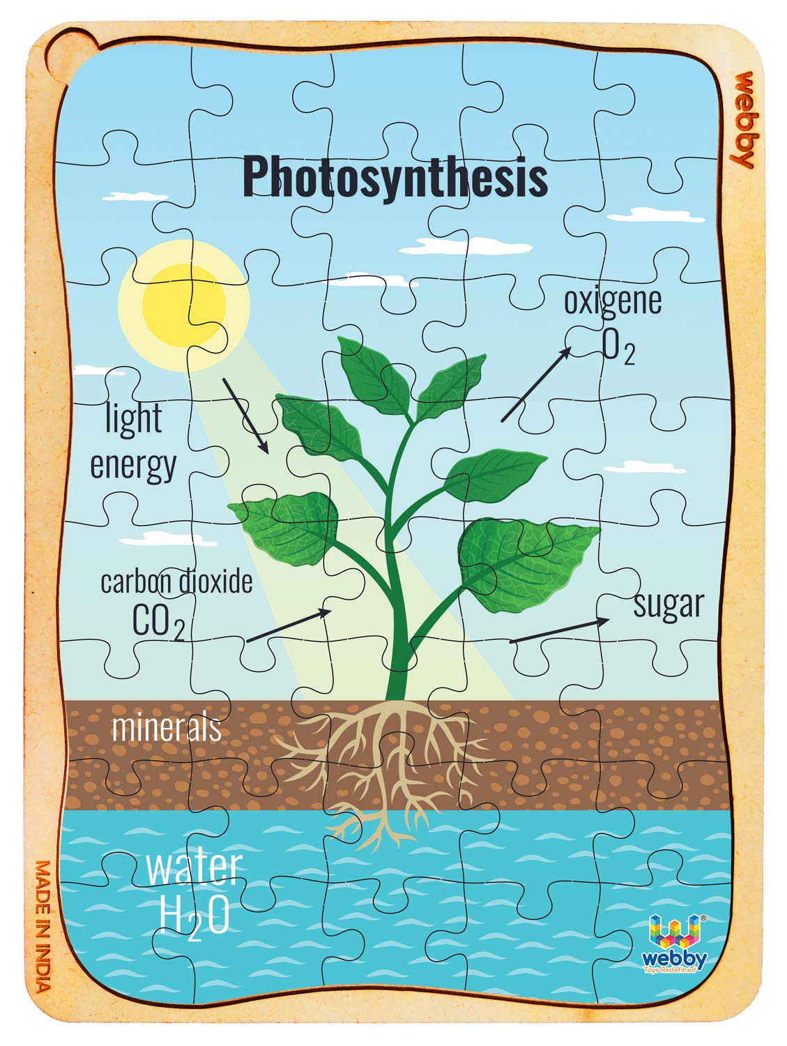 Webby Photosynthesis Wooden Jigsaw Puzzle, 40Pcs
