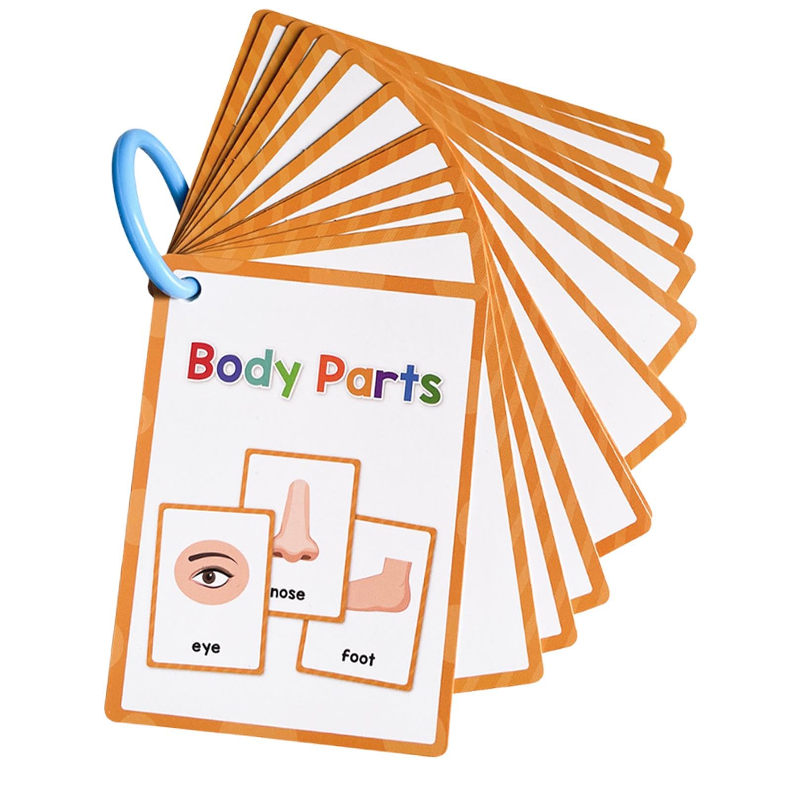 MerishoppBody Parts Flash Cards Cognitive Educational Toys Kindergarten Baby Children|Toys & Hobbies|Educational|Other Education
