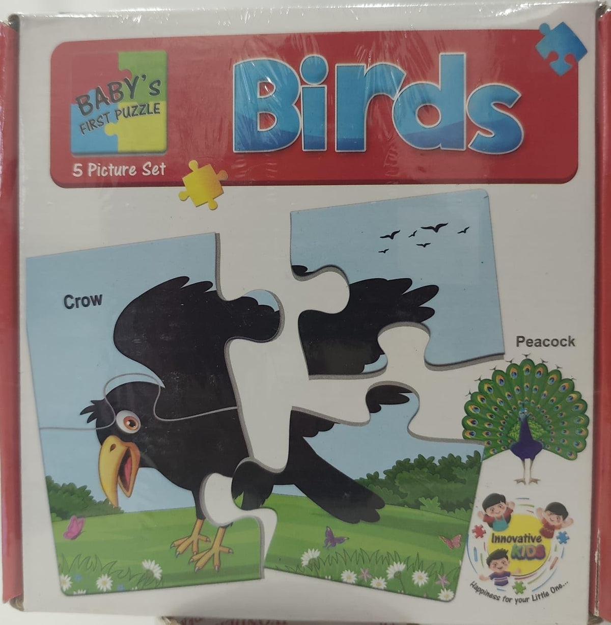 AGTCI Babys First Puzzle Set, Transport/Fruits/Birds/Words Theme, 5 Picture Set, (Bird)