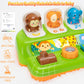 Duchong Interactive Pop Up Toys, Montessori Cause And Effect Toys For 1 Year Old Boy Girl, Early Learning Toys With Music & Ligh