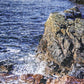 Beduke Jigsaw Puzzles For Adults 1000 Pieces Acadia National Park 1000 Piece Puzzle Age 14+ Thick Sturdy Cardboard Precise Interlocking Family Game