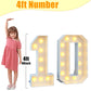 4Ft Light Up Numbers 10 Mosaic Numbers Marquee Frame For 10Th Birthday Party Large Cardboard With Light Bulbs Pre-Cut Kit Giant Cut-Out Thick Foam Board Sign Diy Boys Girls Decorations Anniversary