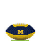 FOCO NCAA 3D BRXLZ Football - Michigan Wolverines Team Spirit, One Size, Football Color