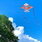 Honbo Eagle Kite, America Flag Kite For Kids And Adults. Wonderful Beginner Kite For Boys And Girls, Suitable For Ages 8-12, Bes