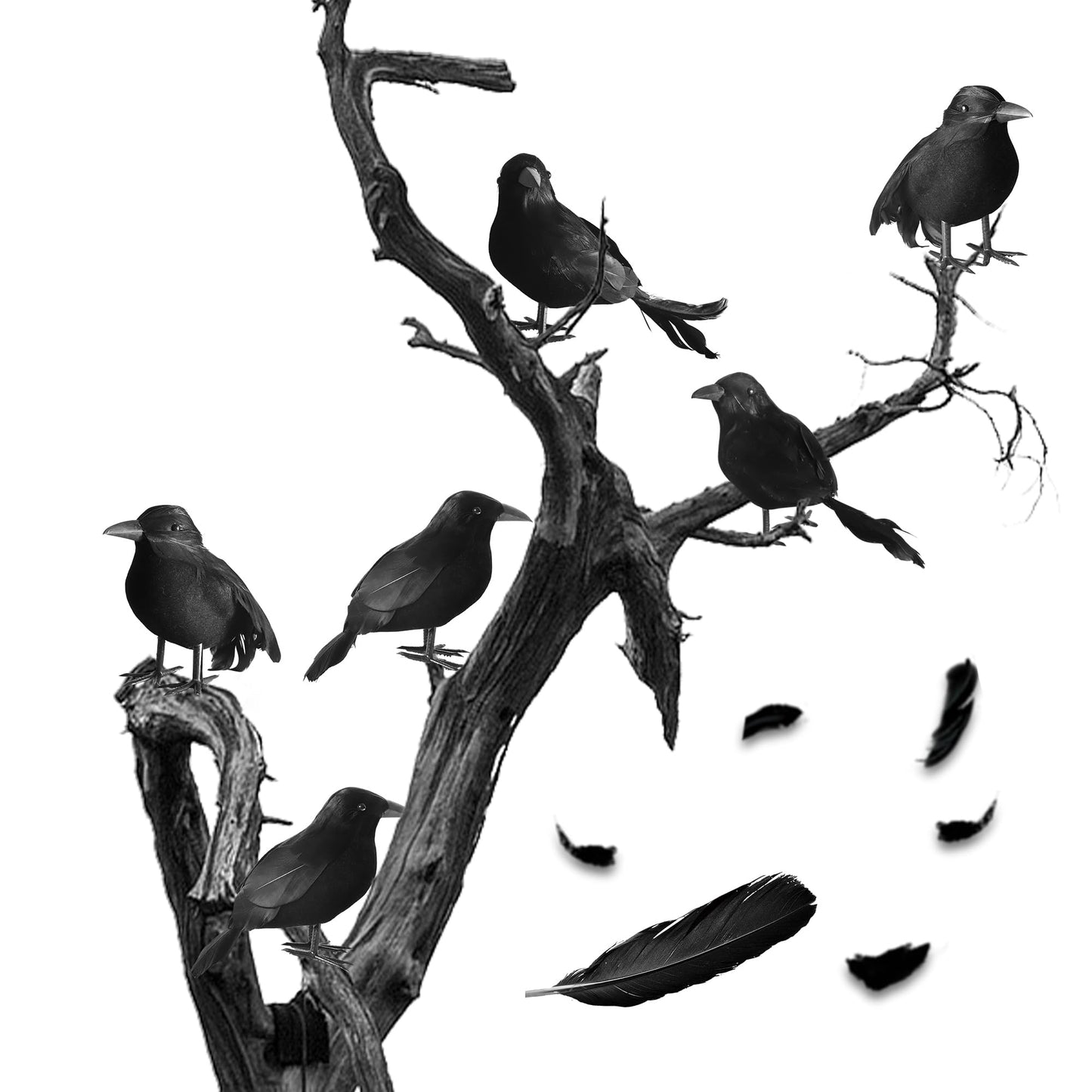 Yumhum 12 Packs Real Feathered Halloween Black Crows, Handmade Realistic Crow With Real Feathers Raven Birds For Yard Tree Garde