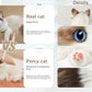 Chongker Interactive Companion Robot Cat Pets, Handmade Weighted Stuffed Animals, Cat Plush Toy With Voice Response, Realistic Heartbeat And Purring, Ragdoll Cat