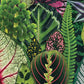 Galison Houseplant Jungle 1000 Piece Jigsaw Puzzle For Adults – Plant Jigsaw Puzzle With Mix Of Succulents & Other Household Plants – Fun Indoor Activity, Multicolor