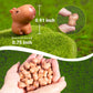 HOTPLACY 50 Pcs Mini Capybara Figurines Capybara Resin Figures Capybara Gifts Capybara Ornament Capybara Animals Figure Multiple