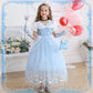 Luzlen Cinderella Costume For Girls Blue Princess Dress For Kids With Puffy Sleeves Halloween Birthday Party Outfit,2-3 Years(Label 100)