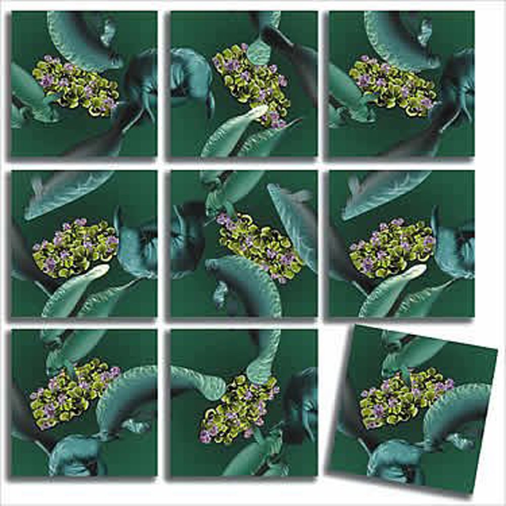 B Dazzle Manatees Scramble Squares 9 Piece Puzzle