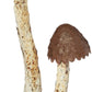 KALALOU Metal Mushrooms Set - One Size, Brown, Model CZG1108
