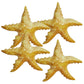 Jet Creations Inflatable Animals 20 Inch Wide Pack Of 4 Star Fish Party Pool Supplies Favors Birthday Gifts For Kids An-Star4, M