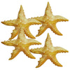 Jet Creations Inflatable Animals 20 Inch Wide Pack Of 4 Star Fish Party Pool Supplies Favors Birthday Gifts For Kids An-Star4, M