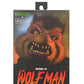 Neca Universal Monsters/Teenage Mutant Ninja Turtles Raphael As The Wolfman 7' Scale Action Figure