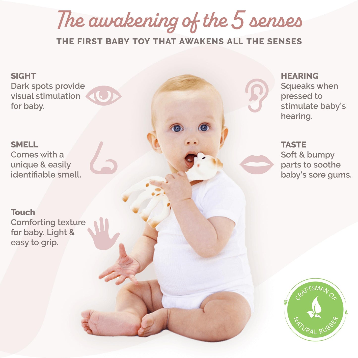 Sophie la girafe Teething Toy - Fresh Touch Natural Rubber, 1 Count, Easy to Clean, Model 101-23, Awaken All 5 Senses