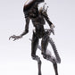 Hiya Toys Alien: Resurrection Lead Alien Warrior 1:18 Scale Action Figure, Multicolor