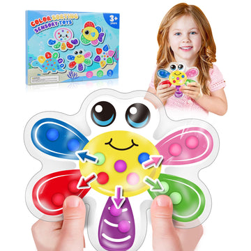 Color Sorting Sensory Toys, Toddler Travel Fine Motor Toys, Preschool Learning Activities Calm Down Sensory Toys for kids with A