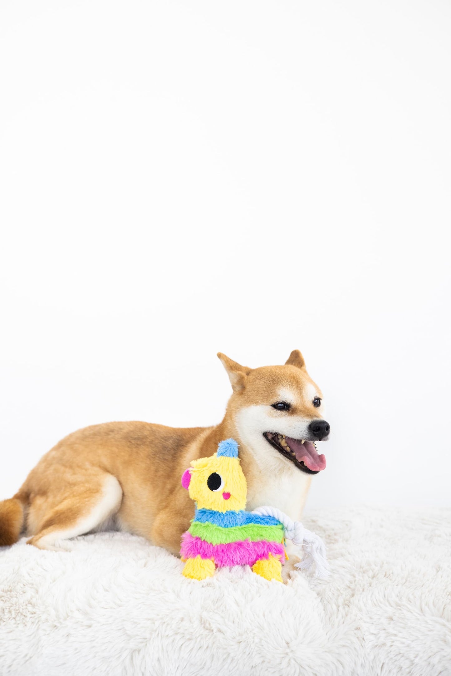 Pearhead Puppy Pinata Dog Toy, Rope Tug Toy for Dogs, Colorful Interactive Dog Toys, Party Pinata Toy for Dogs, Plush Chew Toy,