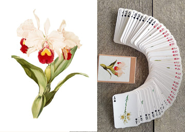 FLONZGIFT Beautiful Flowers Playing Cards (Poker Deck 54 Cards All Different) Vintage Flowers Botannical Illustration by Redoute