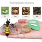 Montessori Life Cycle Animal Figurines Learning & Education Toys, Plastic Insect Life Cycle Toys For Kids, Preschool Learning Activities For Toddlers (Plant Bee Ant)