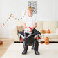 Aiwendish Halloween Skeleton Riding Inflatable Dinosaur Costume For 8 10 12 Kids Dragon Cosplay Blow Up Ride On T-Rex