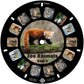 Mayko Zoo Animal Reels For Viewfinder Compatible With Viewmaster And Image3D Viewers. Set Of 3 (Reels Only)